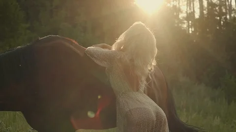 Young model posing in lights of sunset outdoor with horse. Stock Footage 96156454