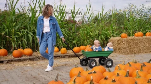 Young mom pulling her twin babies in a wagon in the pumpkin patch. Happy family Stock Footage 139051304