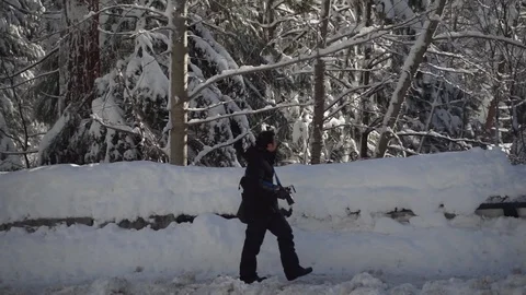 Young moslem explorer  enjoying the view of the tall evergreen trees  Video stock 127613103