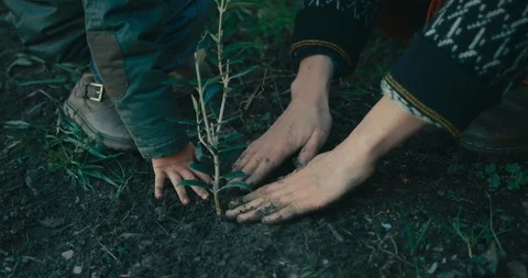 Young mother and her toddler planting a tree in their garden Stock Footage