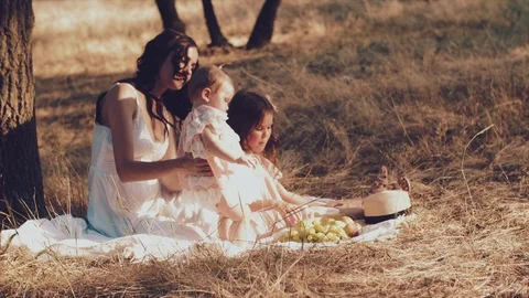 A young mother and two daughters rest on a picnic Stock Footage 86285922