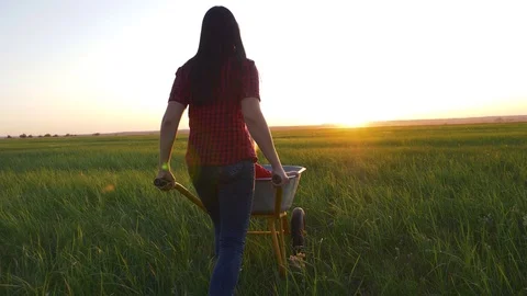 A young mother carries a little daughter on a cart. A happy family of farmers Stock Footage
