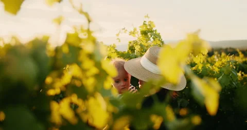 Young mother having fun time with her little baby boy in summer vineyard of Stock-Footage 203839153
