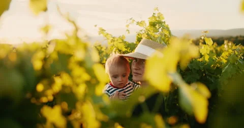 Young mother having fun time with her little baby boy in summer vineyard of 動画素材 203839530