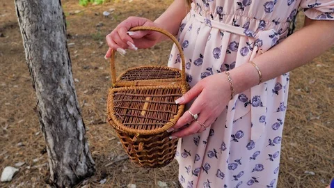 A young mother with her son and daughter collect pine cones Stock Footage 124366239