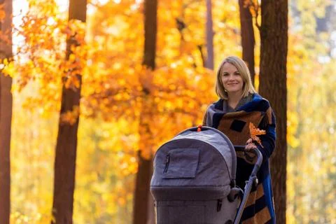 A young mother with a stroller walks through the autumn park Stock Photos