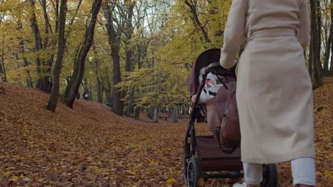Young mother on a walk with a stroller Stock Footage 156325865