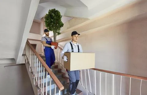 Young movers carrying packing cardboard box and plant down the stairs. Move Stock Photos