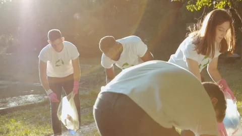 Young multi-ethnic group of activists wearing eco T-shirts cleaning the public Stock Footage 117632548