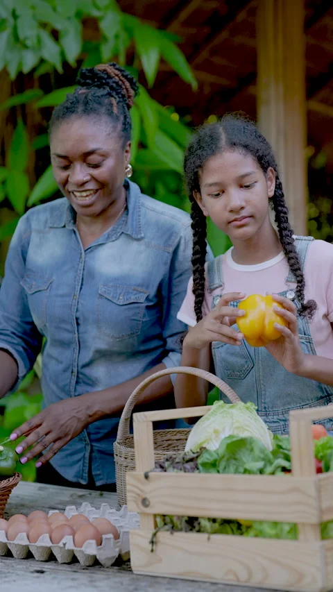 Young multiracial female student checking fresh yellow bell pepper from wooden Stock Footage 311972728