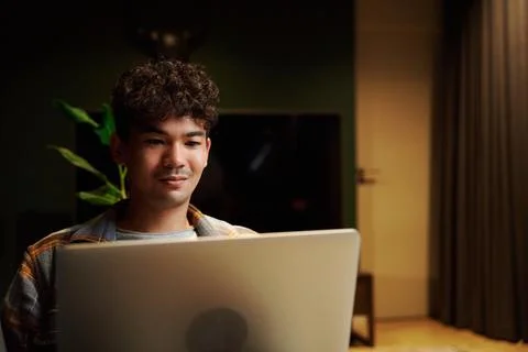 Young multiracial man wearing checkered shirt using laptop on sofa in house at Stock Photos