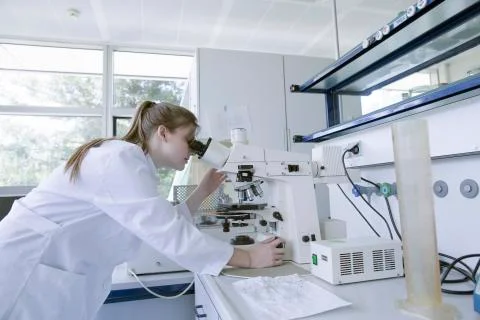 Young natural scientist using optical microscope in a labroratory Stock Photos