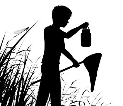 Young naturalist Stock Illustration