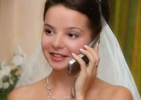 Young nice brunette bride Stock Photos