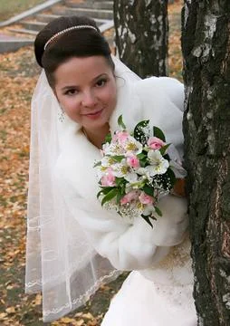 Young nice brunette bride Stock Photos