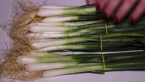 Young Onion Stock Footage 74277475