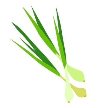 Young onions with stems. Vegetable in flat style. Illustrazione stock