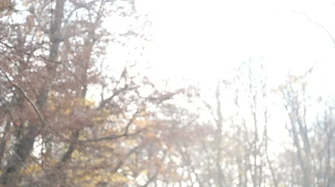 Young parents having fun with daughter in the park Stock Footage 59553742