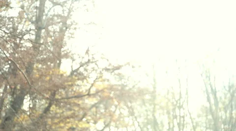 Young parents having fun with daughter in the park Stock Footage 59553743