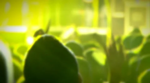 Young people dancing at the rock 'n roll concert Stock Footage