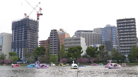 Young people floating on multicolored swan boats Stock Footage 93213405