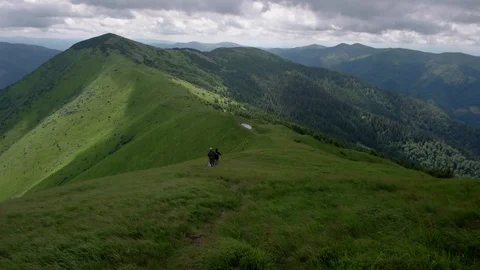 Young people with gogs Fox terrier hiking in mountains, travel, fitness or Stock Footage 88908145