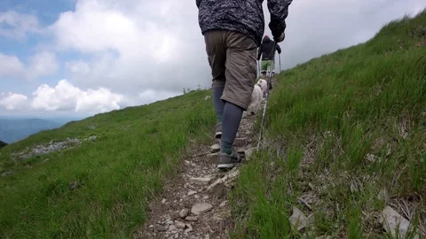 Young people with gogs Fox terrier hiking in mountains, travel, fitness or Stock-Footage 88908490