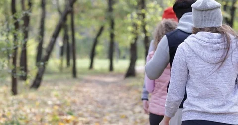 Young People Group Walking Two Couple Outdoor, Friends Morning Autumn Park Stock Footage
