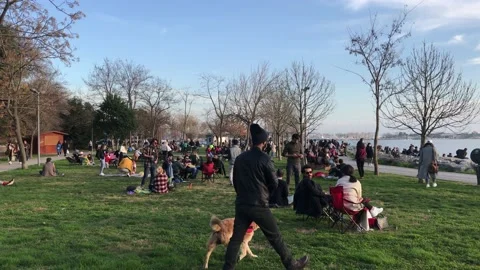 Young people having fun dancing on the beach Stock Footage 146046635