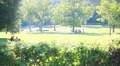 Young people at park HD Footage