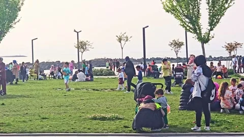Young people in the park Stock Footage 277116035