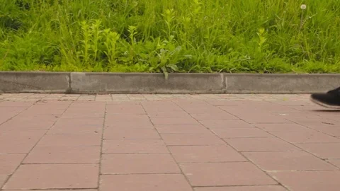 Young people passing by camera Stock Footage 71945864