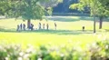 Young people playing and relaxing sitting on the grass HD Footage