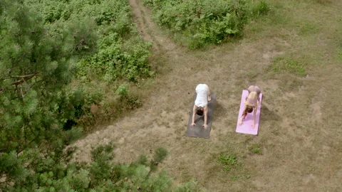 Young people practice Dolphin pose on mats on grassy meadow Stock Footage 206020567