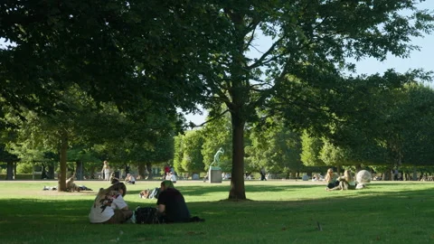 Young people sit on lawn grass under tree shade in Kings Garden in Copenhagen Stock Footage 344849369