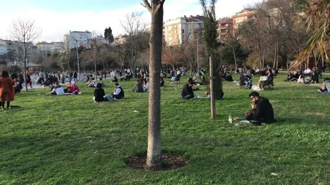 Young people sitting on the grass Stock Footage 146045992