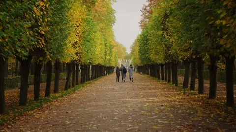 Young people walk in the park between autumn trees. Stock Footage 141783095