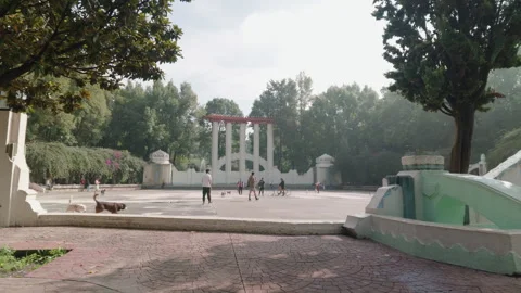 Young people walking and playing with dogs, Mexico City, Mexico - July 9, 2026 Stock Footage 341901688
