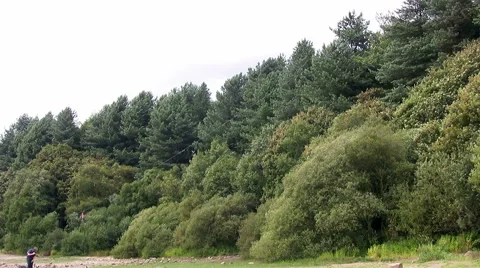 Young person passing on a zip wire at Go Ape adventure activity Rivington Stock Footage 60356637