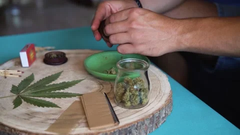 Young person preparing marijuana joint while rolling a pipe Stock Footage 137440605