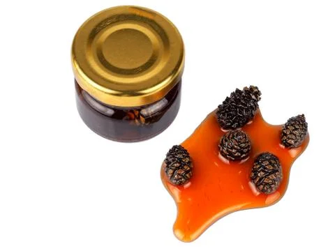 Young pine cones jam in a jar Stock Photos