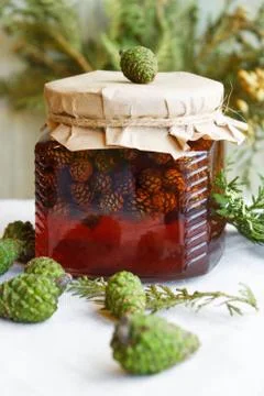 Young pine cones jam Stock Photos