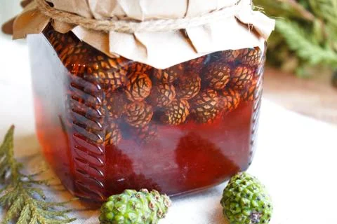 Young pine cones jam Stock Photos