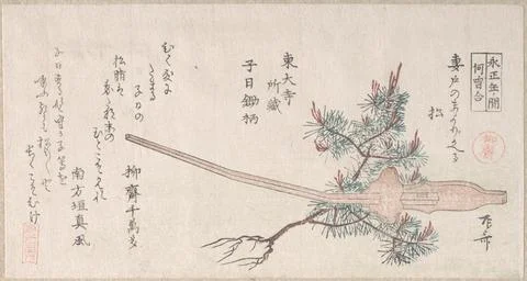 Young Pine Tree and the Handle of a Plow 19th century Ry?ry?kyo Shinsai Jap.. Illustration