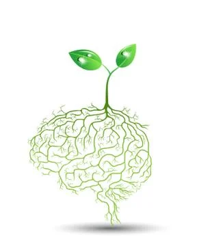 Young plant with brain root, vector. Stock Illustration