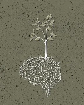 Young plant with brain root, vector. Stock Illustration