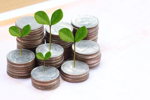 Young plant grown to stack silver coin in business growth concept. Foto stock