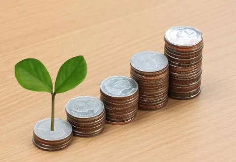 Young plant grown to stack silver coin in business growth concept. 스톡 사진