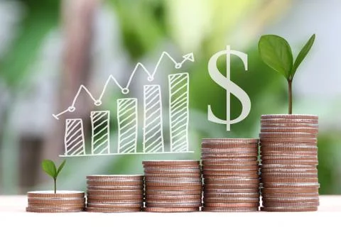 Young plant grown to stack silver coin in business growth concept. 스톡 사진