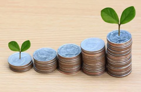 Young plant grown to stack silver coin in business growth concept. 库存照片